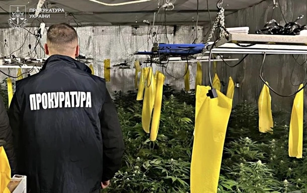 На Кіровоградщині викрили групу наркоділків, які вирощували коноплю у підвалі