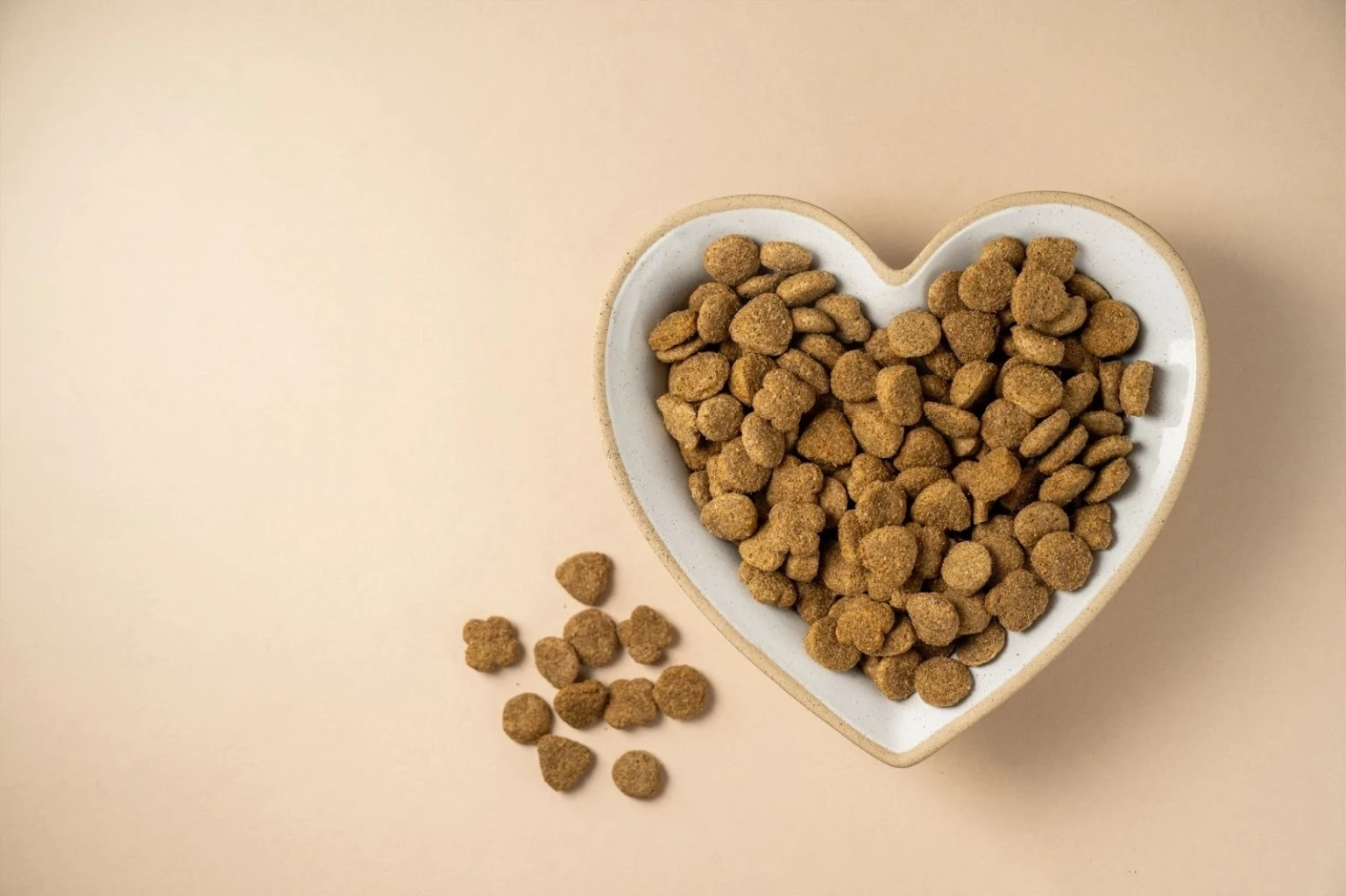 Травлення під контролем: як Purina One допомагає підтримувати мікрофлору вашого кота